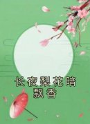 《阿香长宁》长夜梨花暗飘香章节