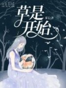 《草是开始》小说章节精彩阅读 沈