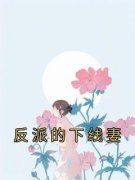 《反派的下线妻》大结局免费试读