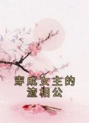 【都市爽文】穿成女主的渣相公李