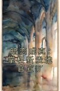 暗恋成真：掌权新贵他官宣了大结