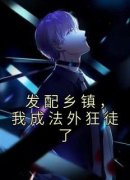 《苏折李思维》小说章节列表免费