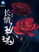 白月司渊小说免费阅读 长情玫瑰小