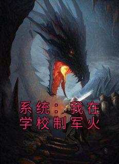 系统：我在学校制军火