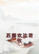 《苏卿欢沈君牧》小说最新章节免