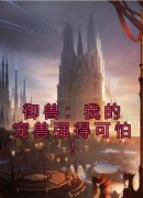 《林奇小闪》小说章节目录免费阅