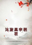 沐旋凰李栖君沐旋凰李栖君小说精