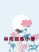 《林陌然陈小蓉》陈小蓉林陌然完