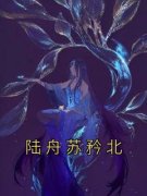 陆舟苏矜北最新章节 苏矜北陆舟大