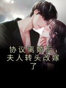 协议离婚后，夫人转头改嫁了精彩
