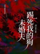 未婚夫踢死我的狗小说 黎晚晚苏至