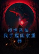 《领悟系统：我手握国家重器》陆