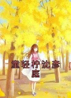 童轻柠沈彦庭