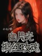 沈筝楚清小说全集免费免费试读（