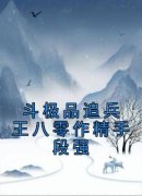 《斗极品追兵王八零作精手段强》