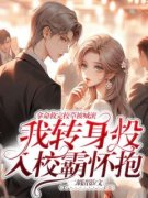 《陈楠青吴惑之》小说精彩试读 《