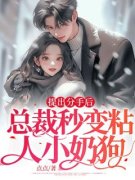 《言时裴圳野》提出分手后，总裁