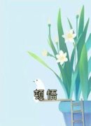 《萧尧宋清歌》小说全文精彩试读
