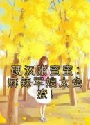 桑枝门少庭硬汉甜蜜蜜：麻辣军嫂