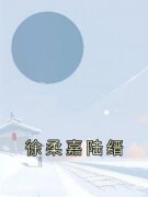 《徐柔嘉陆缙》小说全集免费免费
