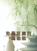 许墨豆腐西施晚晚全本资源下载A