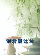 《沈兰谢君麟》小说章节列表免费