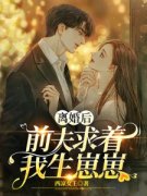 离婚后，前夫求着我生崽崽完整小