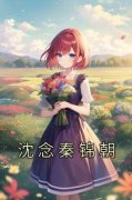 《沈念秦锦朝》小说全文在线阅读