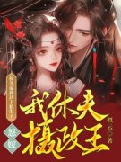 侯爷逼我认下私生子，我休夫怒嫁