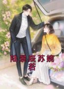 《苏婉若陆景辰》小说章节列表免