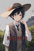 《陆衍姜抒》小说大结局免费阅读