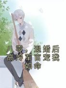 《八零，退婚后高冷军官宠我如命