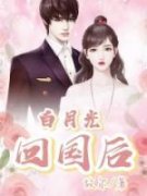 芳芳沈博新小说免费阅读 白月光归