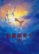 许宁宁沈景然主角沈景然许宁宁小