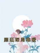 顾廷琛周稚瑗《周稚瑗顾廷琛》全