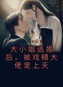 《季挽慈沈晟》小说大结局免费阅