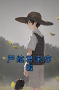 严绾君宋序城全文免费阅读(严绾君