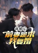 《离婚后，前妻跪求我复婚》小说