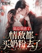 《陆总别虐了，情敌都买奶粉去了