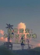 《江书瑶秦砚池》乱世婚宠：少帅