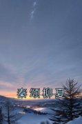秦颂柳夏(柳夏秦颂)全文完结在线阅