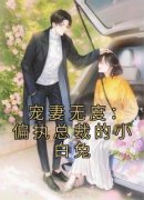 宠妻无度：偏执总裁的小白兔小说