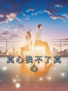 《真心换不了真心》全文在线试读