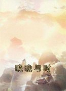 晚婉安免费阅读 晚晚与时的小说在