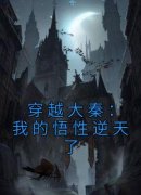 《穿越大秦：我的悟性逆天了》小