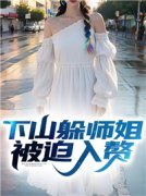 《下山躲师姐，被迫入赘》小说免
