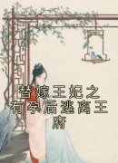 南明珠陆泽渊全文阅读 替嫁王妃之
