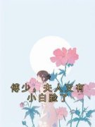 苏挽月傅晏珩小说 《傅少，夫人又