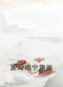 《夏鸢蝶宁澹时》夏鸢蝶宁澹时完