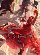 《夜安锦付余生》夜安锦付余生完